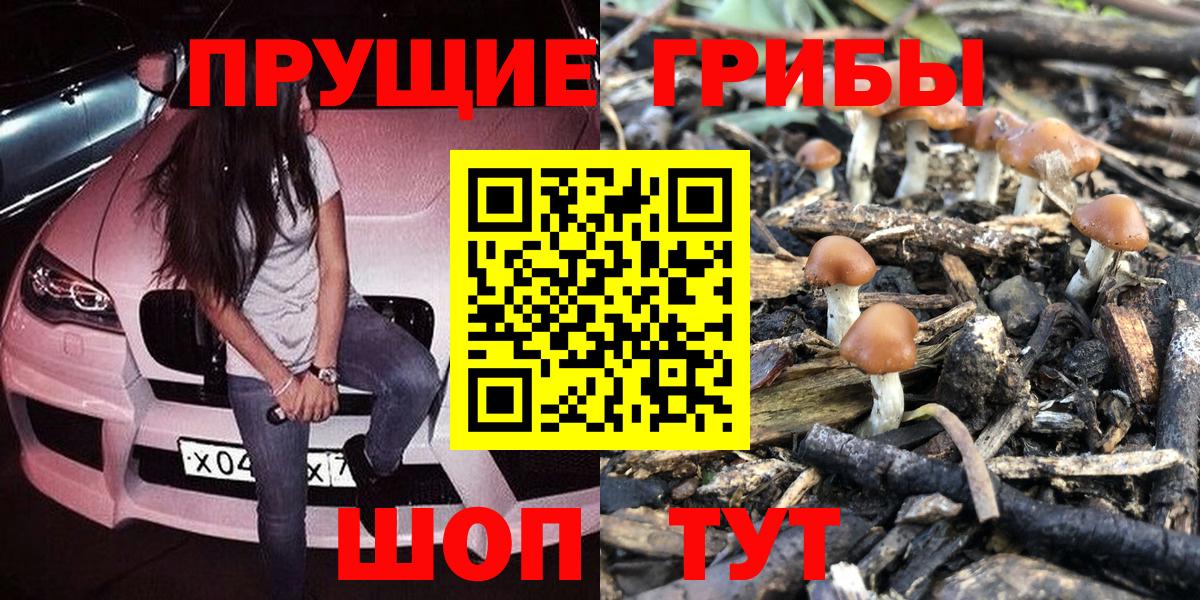 Лобня  Галлюциногенные грибы MAGIC MUSHROOMS  Вход с VPN  Псилоцибиновые грибы GOLDEN TEACHER 